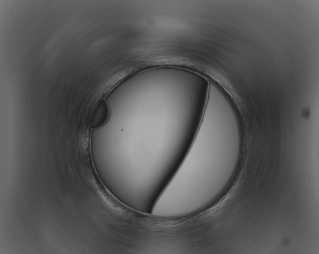 X0000091720841200708241018