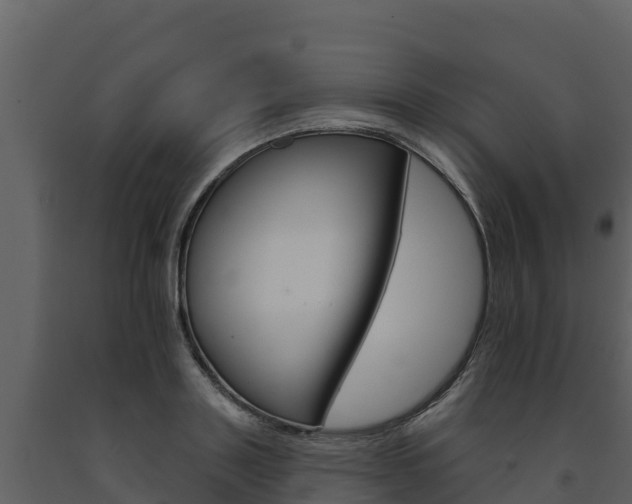 X0000091720843200708241018