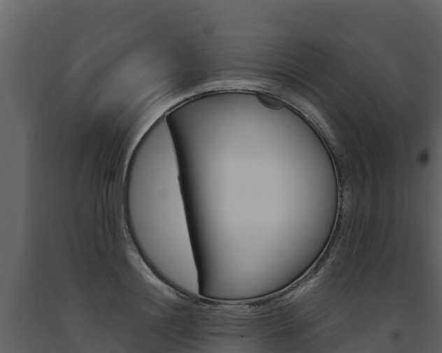 X0000091720844200708241018