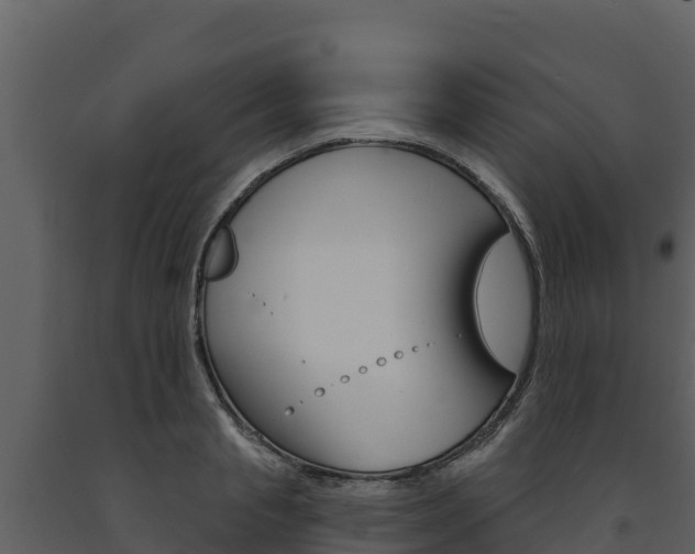X0000091720845200708241018