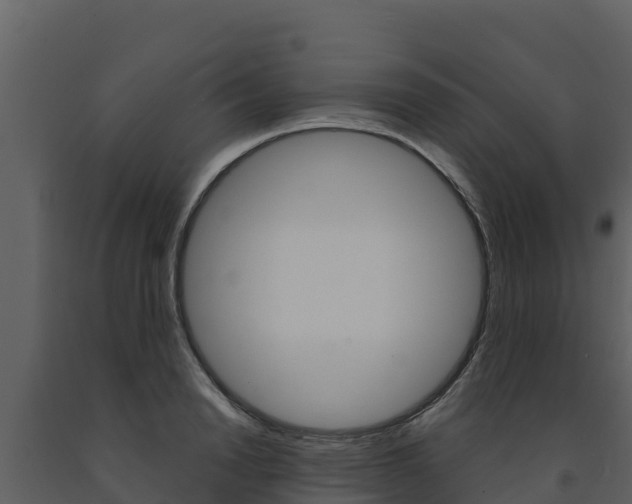 X0000091720846200708241018