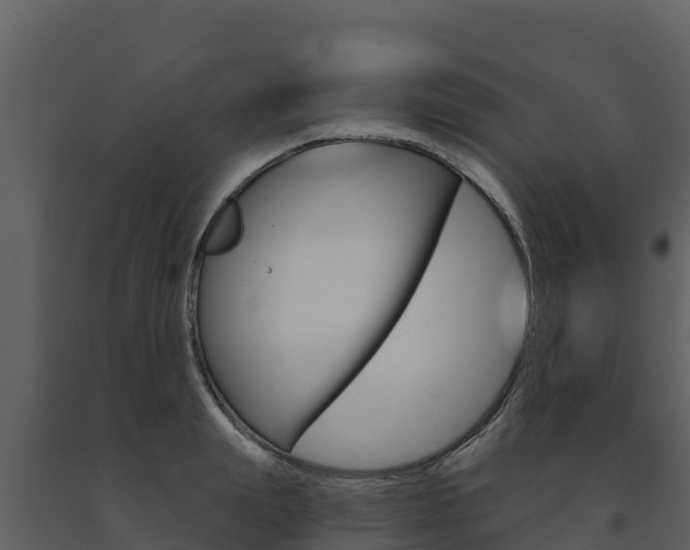 X0000091720847200708241018