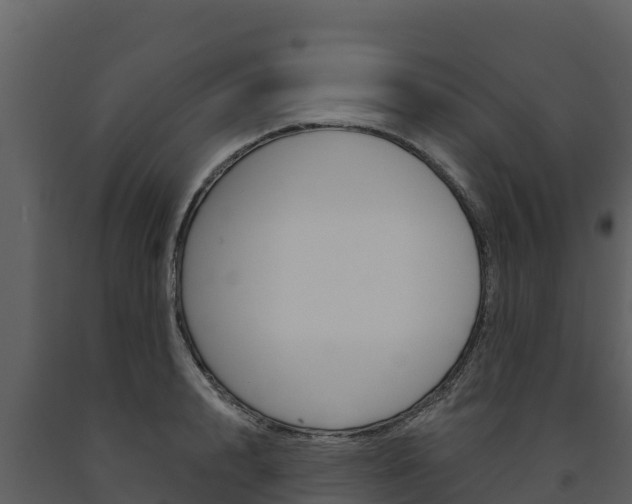 X0000091720848200708241018