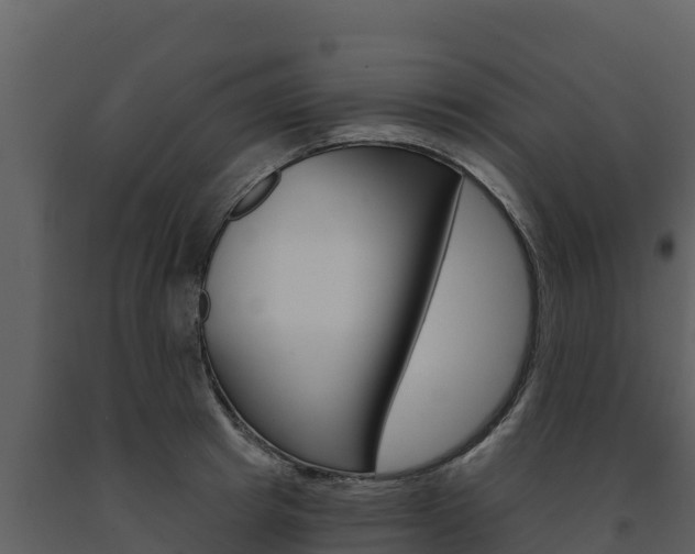 X0000091720849200708241018
