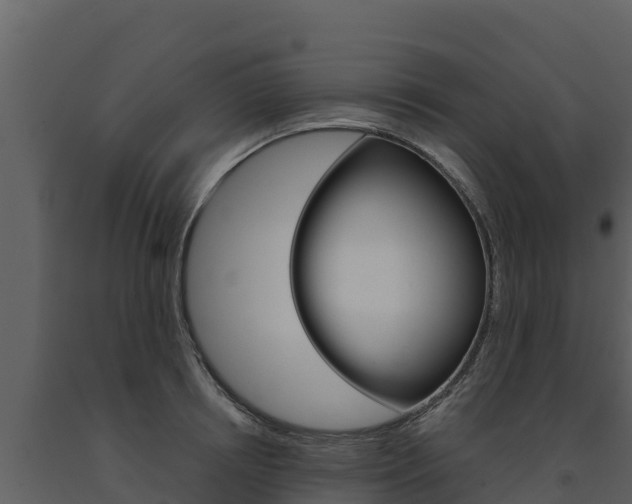 X0000091720850200708241018