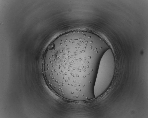 X0000091720851200708241018