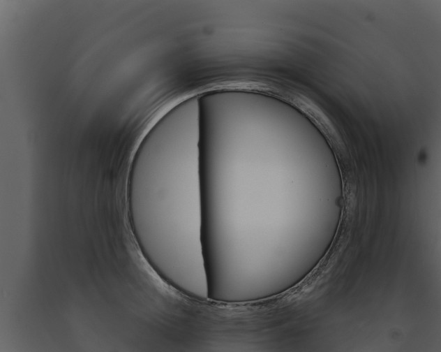 X0000091720852200708241018