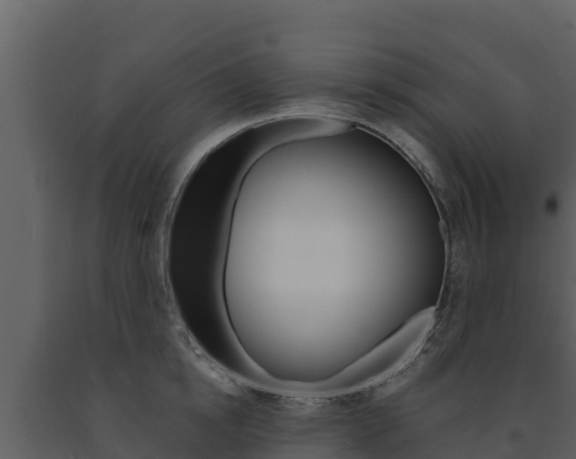 X0000091720854200708241018