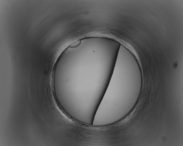X0000091720855200708241018