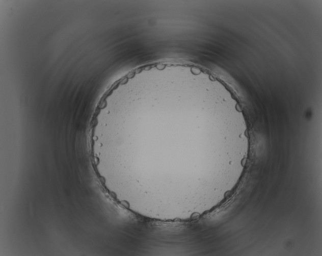 X0000091720856200708241018