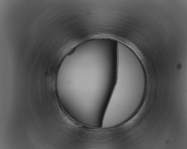 X0000091720857200708241018