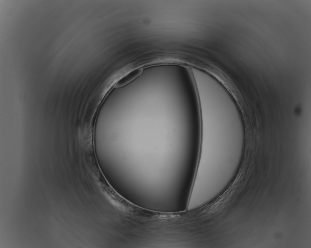 X0000091720858200708241018