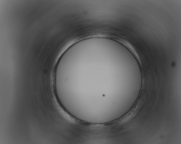 X0000091720859200708241018