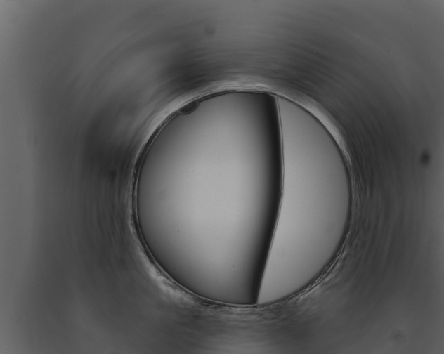X0000091720861200708241018