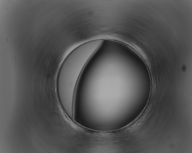 X0000091720862200708241018