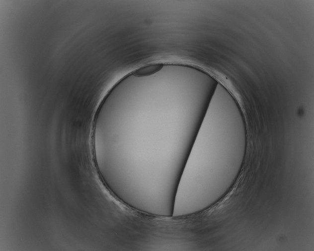 X0000091720863200708241018