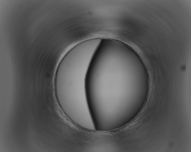 X0000091720864200708241018