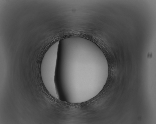 X0000091720865200708241018