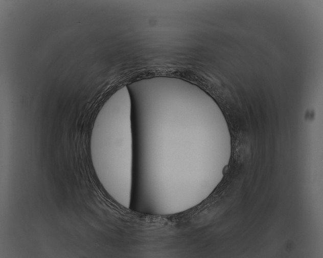 X0000091720866200708241018