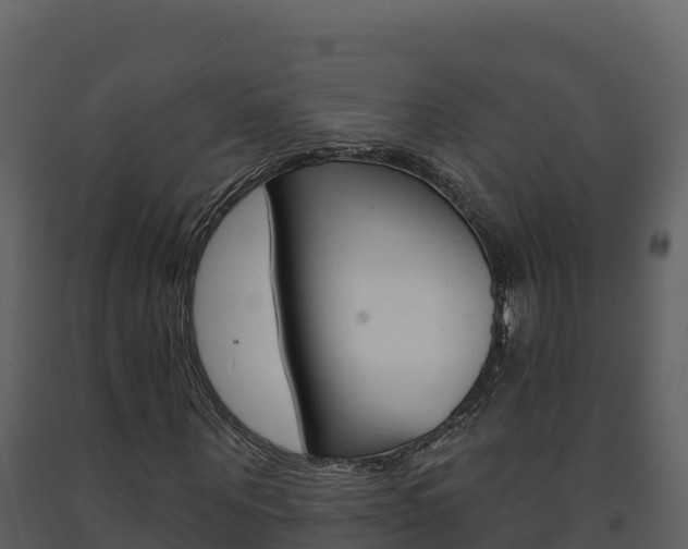 X0000091720867200708241018