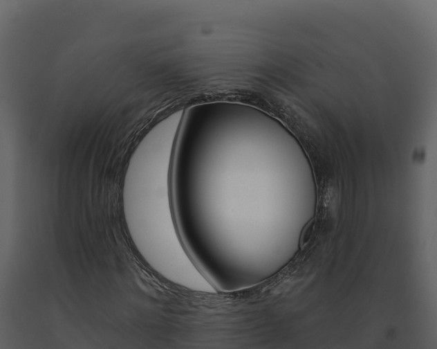 X0000091720868200708241018