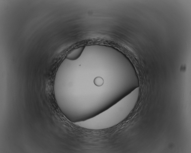 X0000091720869200708241018