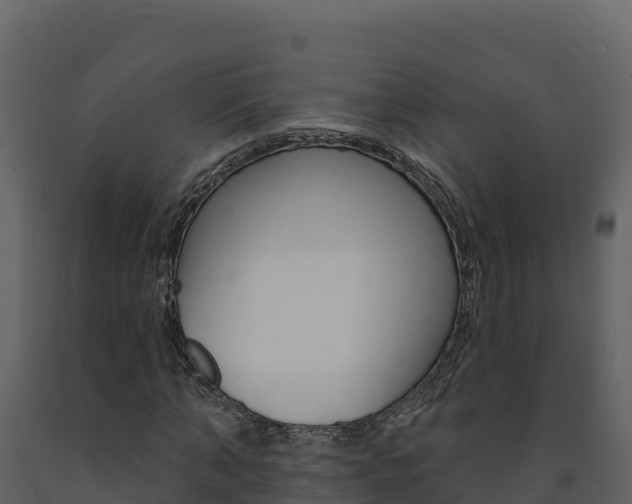 X0000091720870200708241018