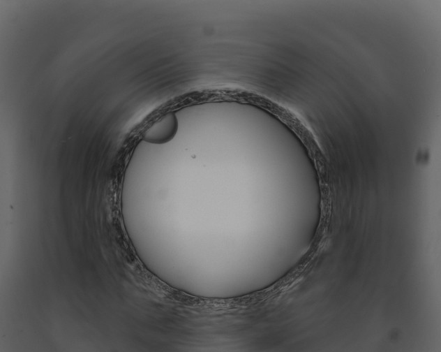 X0000091720871200708241018