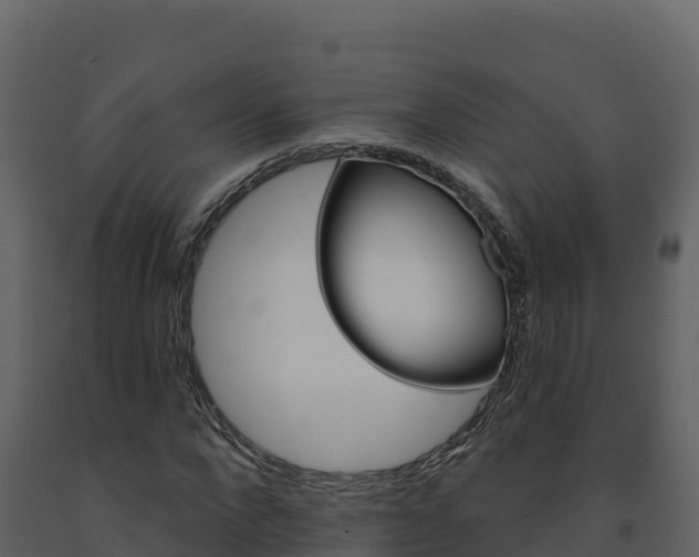 X0000091720872200708241017
