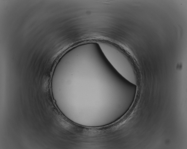 X0000091720873200708241017