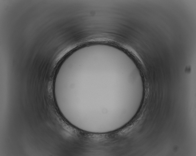 X0000091720874200708241017