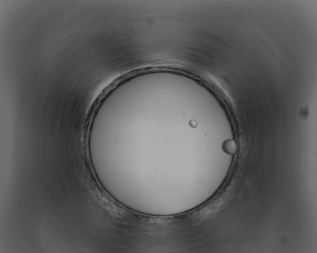 X0000091720875200708241017