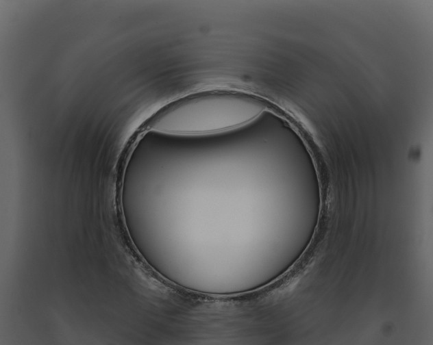 X0000091720877200708241017