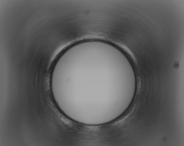 X0000091720878200708241017