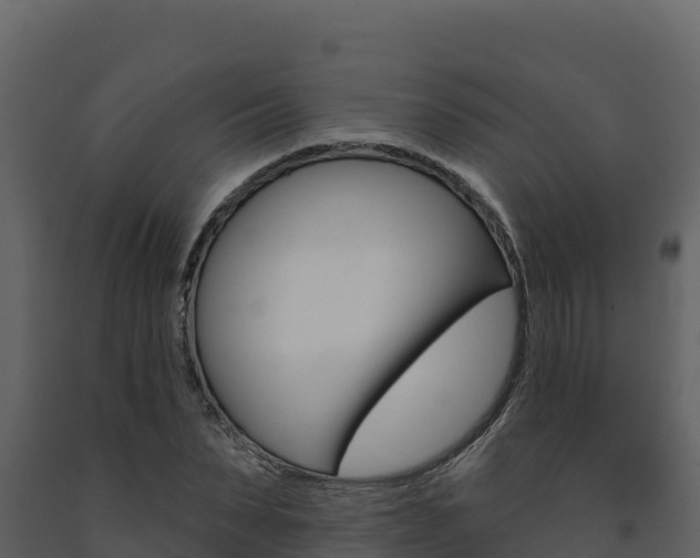 X0000091720879200708241017