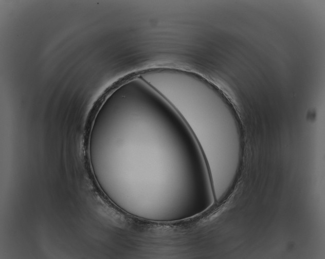 X0000091720880200708241017