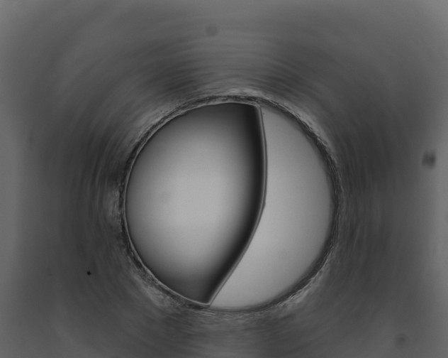 X0000091720881200708241017