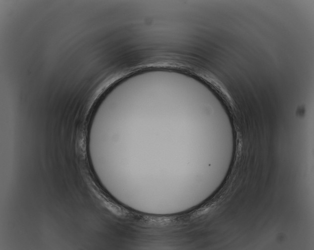 X0000091720882200708241017