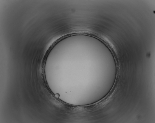 X0000091720883200708241017