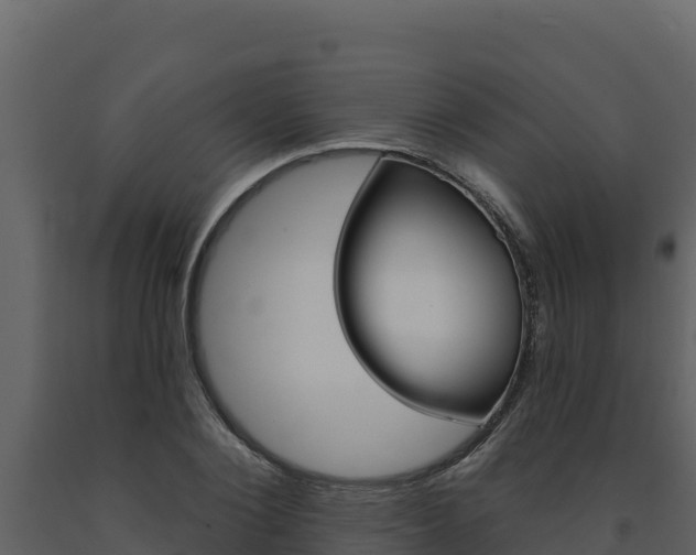X0000091720884200708241017