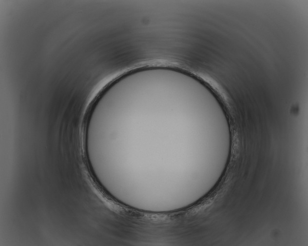 X0000091720886200708241017