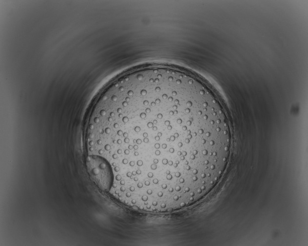 X0000091720887200708241017