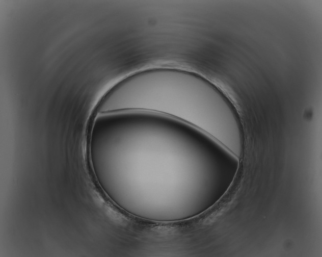 X0000091720888200708241017
