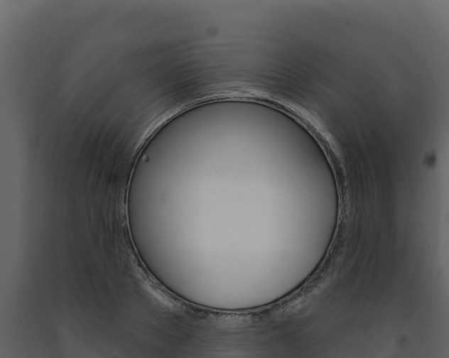 X0000091720889200708241017