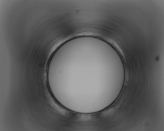 X0000091720890200708241017