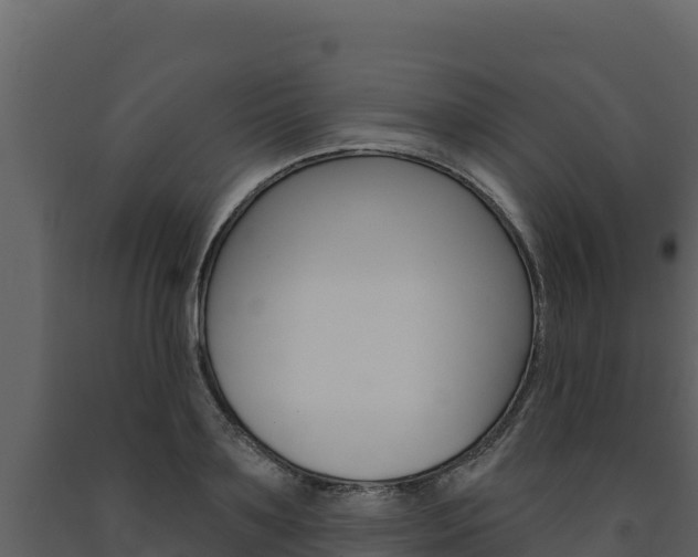 X0000091720891200708241017