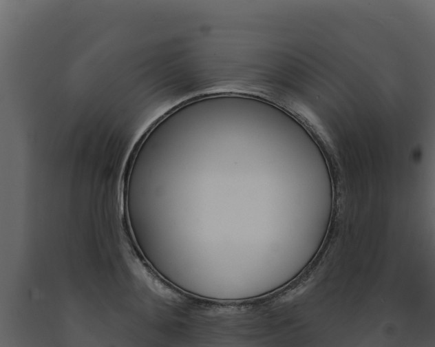 X0000091720892200708241017