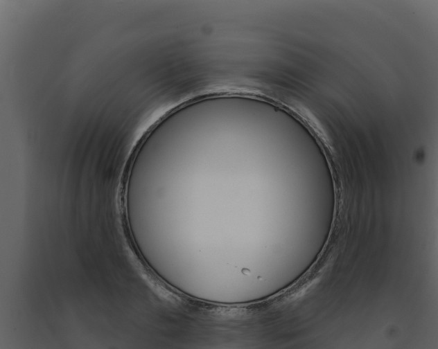 X0000091720893200708241017