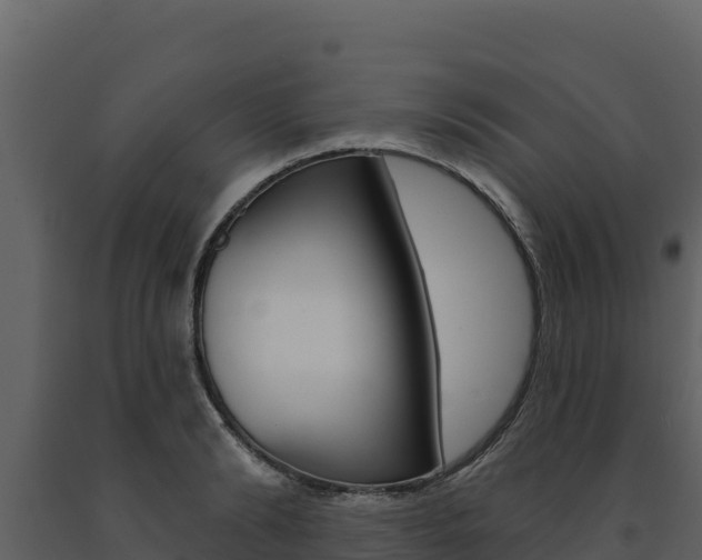 X0000091720894200708241017