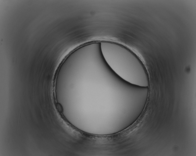X0000091720895200708241017